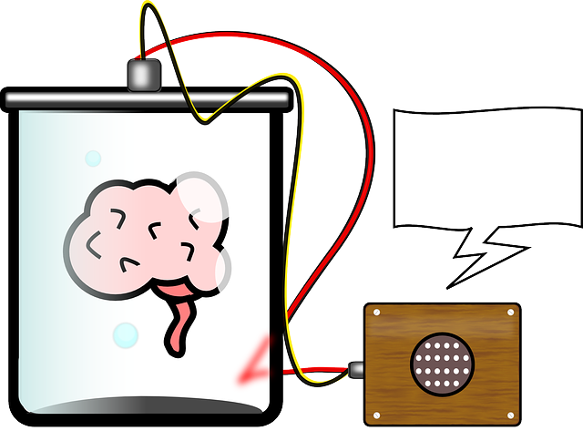 snaha porozumět lidskému mozku